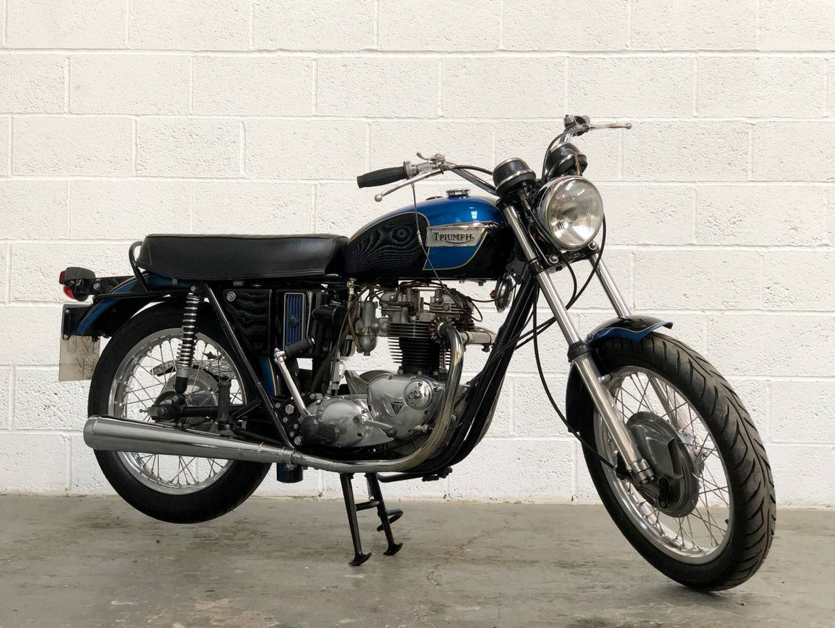 ティート　ネペンチョップロワー 793615_1200x1200.jpg?v=1661038834