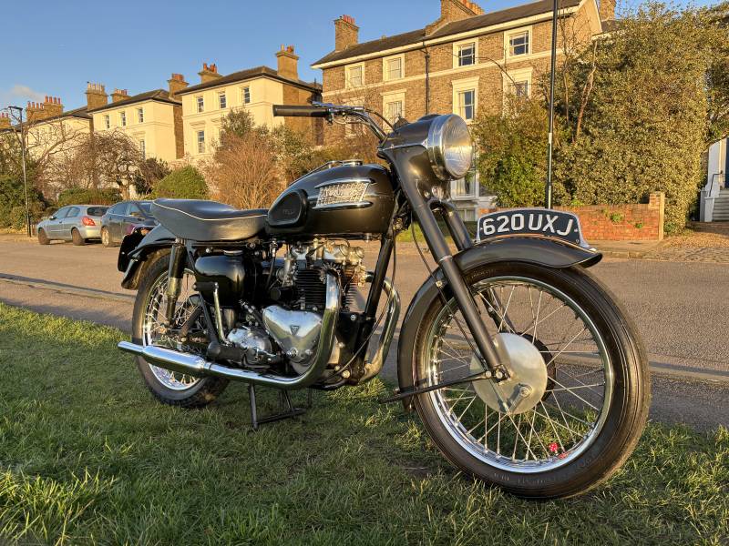 Triumph Bonneville Triumph Thunderbird For Sale Craigslist 2009