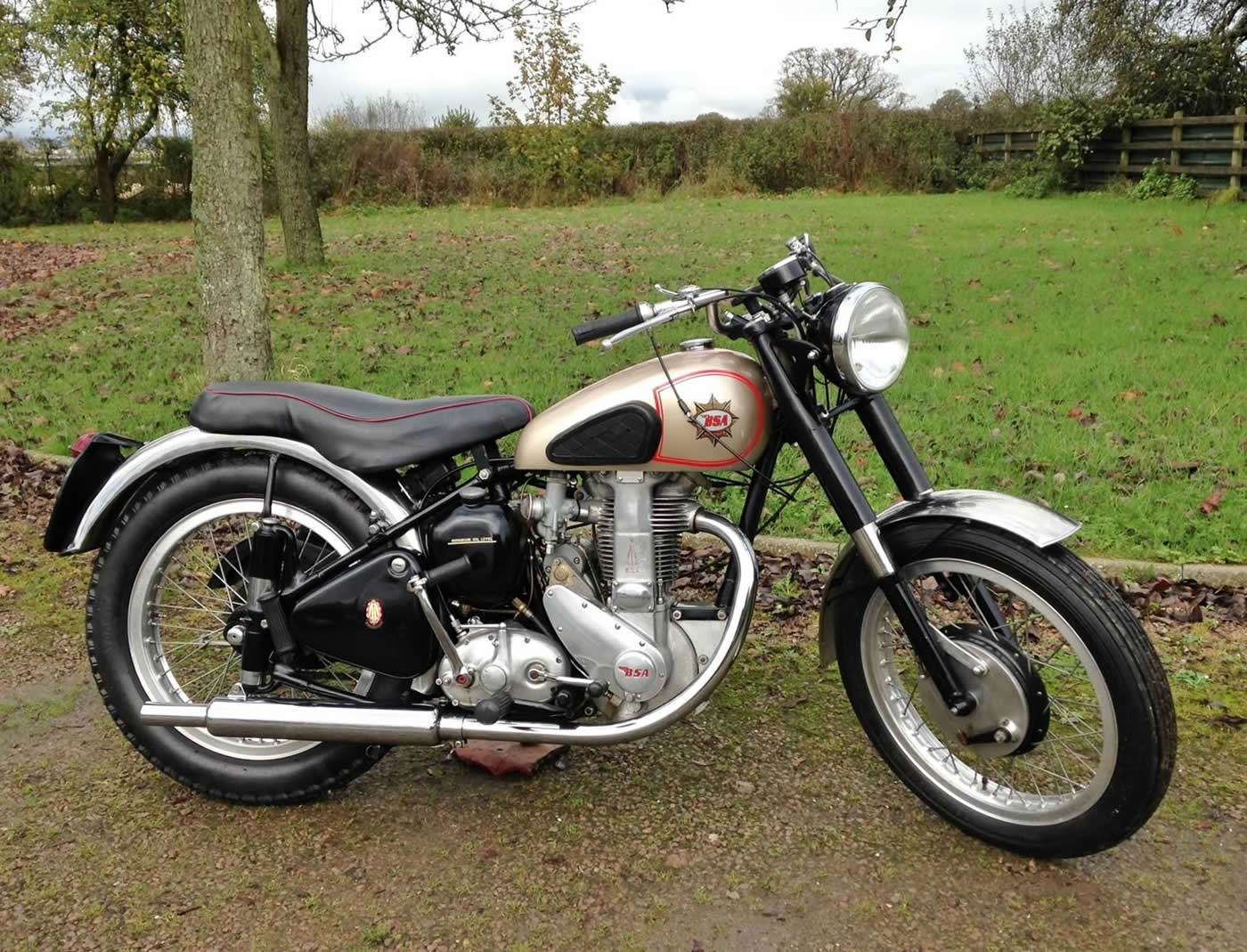 BSA ZB 32 GOLD STAR 1953 – We Sell Classic Bikes