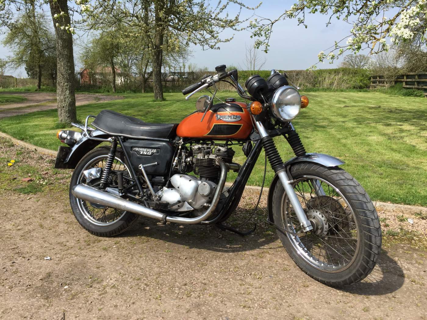 Специальное издание